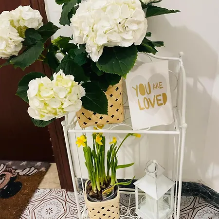 Ferienhaus Airport Flower Marina Julia